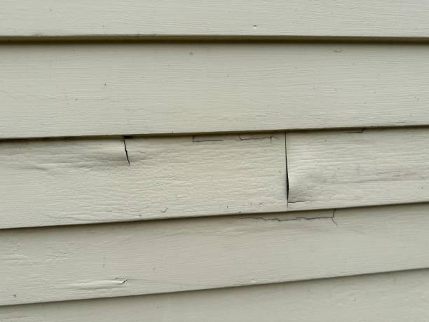 Siding for Commercial Buildings in Lakeshire, MO